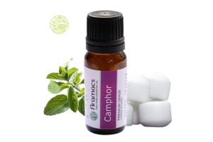 什麼是樟腦精油?