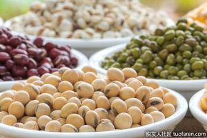 鐵含量低的食物有哪些？