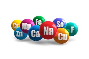 維生素和礦物質有哪些？作用是什麼？