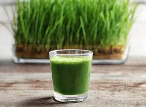 麥草用於頭髮生長