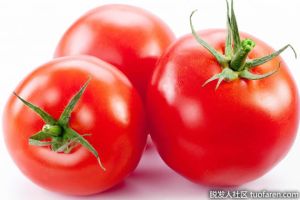阻止DHT食物：番茄