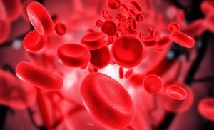 缺鐵性貧血造成脱髮