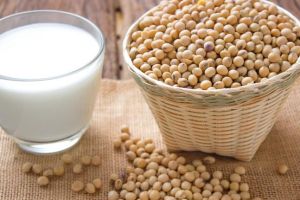 最新研究：在日常飲食中加入豆奶可以延緩脱髮