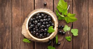 黑加侖籽油的神奇功效