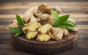 生薑和洋葱汁促進頭髮生長