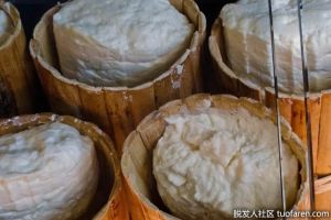 哪些食物含有乳清？