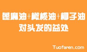 蓖麻油+橄欖油+椰子油塗抹在頭皮的好處