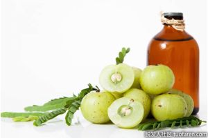 Amla油(醋栗油)的好處
