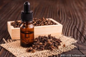 什麼是丁香精油？