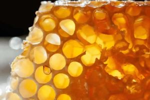 哪些食物含有維生素B4?