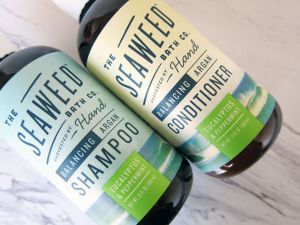 什麼是海藻洗髮水?