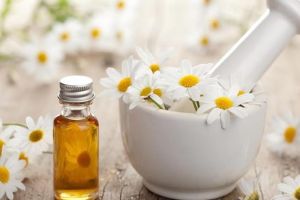 什麼是洋甘菊精油？