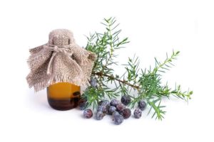 使用杜松子精油用於頭髮和頭皮