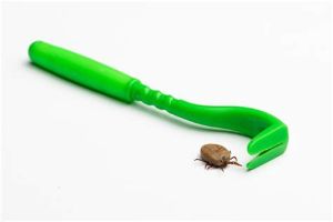 如何從頭髮中去除蜱蟲