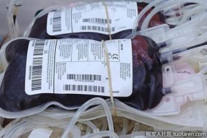 循環系統的主要功能是什麼？