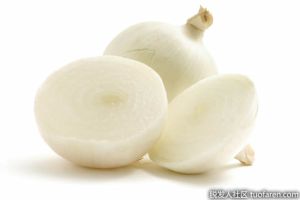 白洋葱能防脱髮