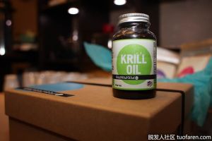 什麼是磷蝦油？磷蝦油的好處