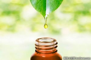 茶樹油對頭髮生長有好處