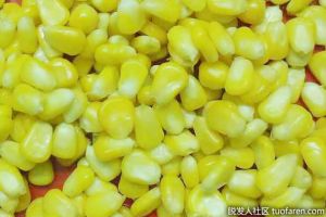 5種含玉米油的食物