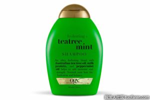 OGX保濕+茶樹薄荷洗髮水