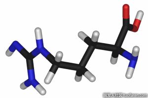 精氨酸的好處