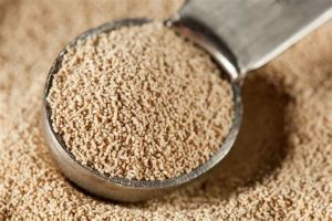 酵母菌護髮的好處及製作方法