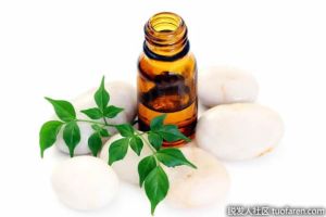 茶樹精油的功效