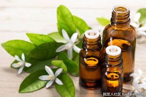 橙花精油的功效和作用