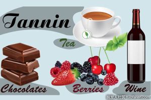 哪些食物含有單寧酸（鞣酸）？