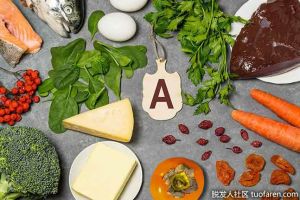 哪些食物是維生素A的良好來源？