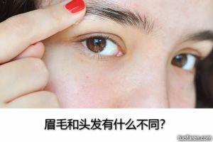 眉毛和頭髮有什麼不同？