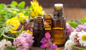 用於乾燥頭皮的精油