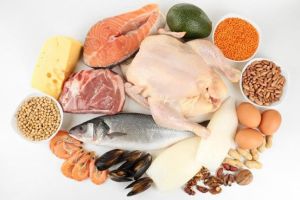 瘦肉蛋白的最佳來源是什麼?