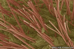 毛乾的作用是什麼？