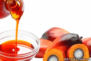 紅棕櫚油護髮：讓你感受自然而神奇