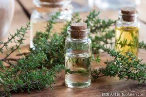 百里香精油的功效與作用