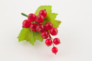 紅醋栗有什麼好處?