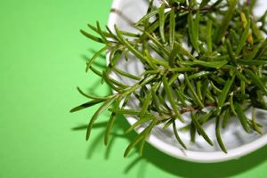 迷迭香防止脱髮