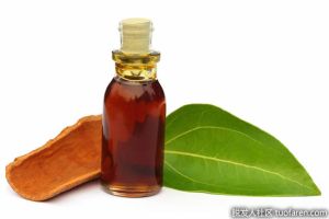什麼是肉桂葉精油？