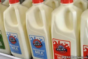 牛奶中的維生素A棕櫚酸鹽是什麼？