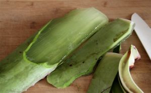 蘆薈能使頭髮更結實、更長