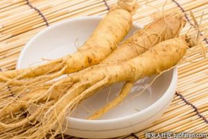 人蔘洗髮水的功效和功能