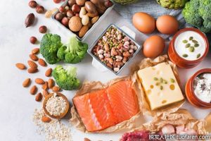 蛋白質的功能是什麼？