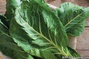 羽衣甘藍的功效