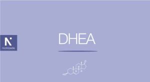 DHA Vs. DHEA