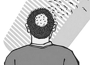 手淫脱髮是否會導致？