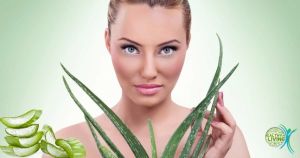 蘆薈可以防脱髮嗎？