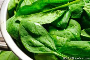 富含維生素E的食物：菠菜