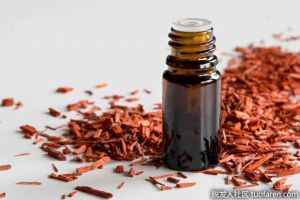 什麼是玫瑰木精油？