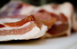 什麼是可見脂肪?